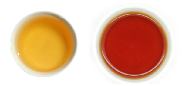 普洱茶生茶和熟茶如何区分？