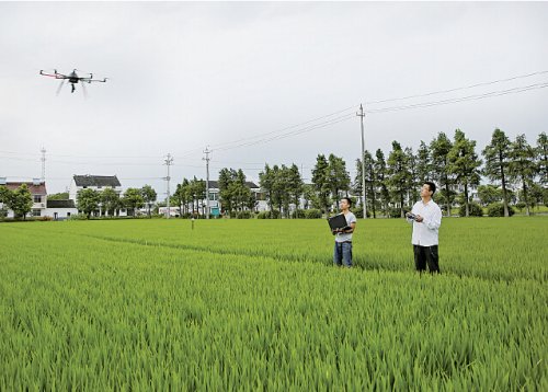 无人机助力现代农业   我市首次利用无人机遥感监测作物生长 