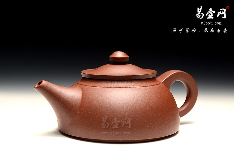宜兴紫砂壶名家，徐俊英老师紫砂壶艺术，雅韵壶图片