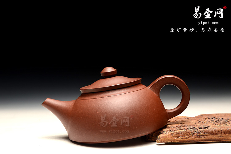 宜兴紫砂壶名家，徐俊英老师紫砂壶艺术，雅韵壶图片