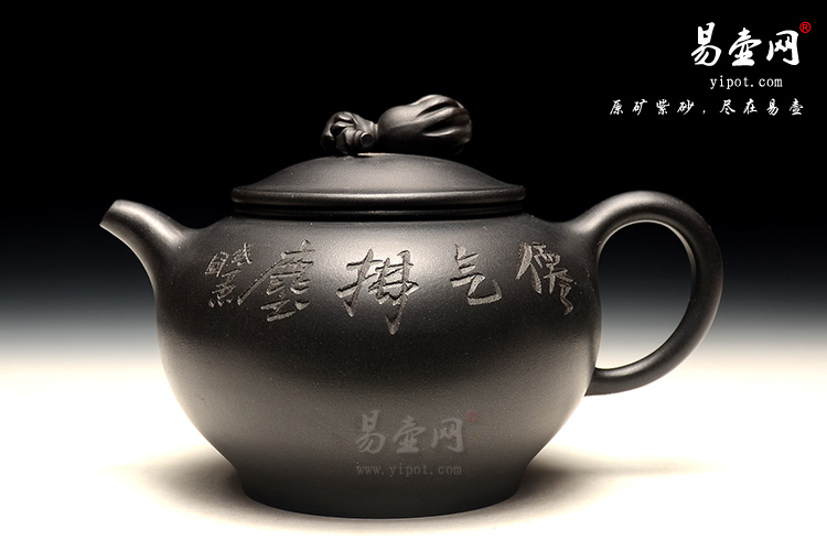 阳羡茶壶，陈惠红紫砂壶，田园情趣壶图片